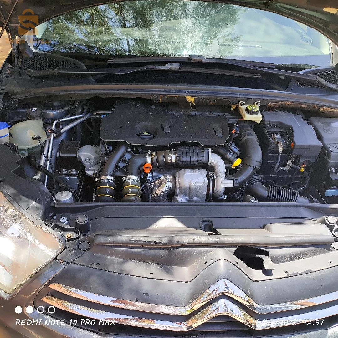 ستروين C4 2014 32 البيض