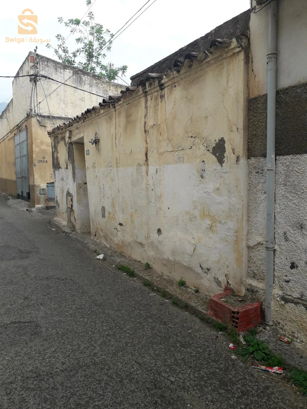 À vendre Terrains résidentiels les chambres  9 BLIDA