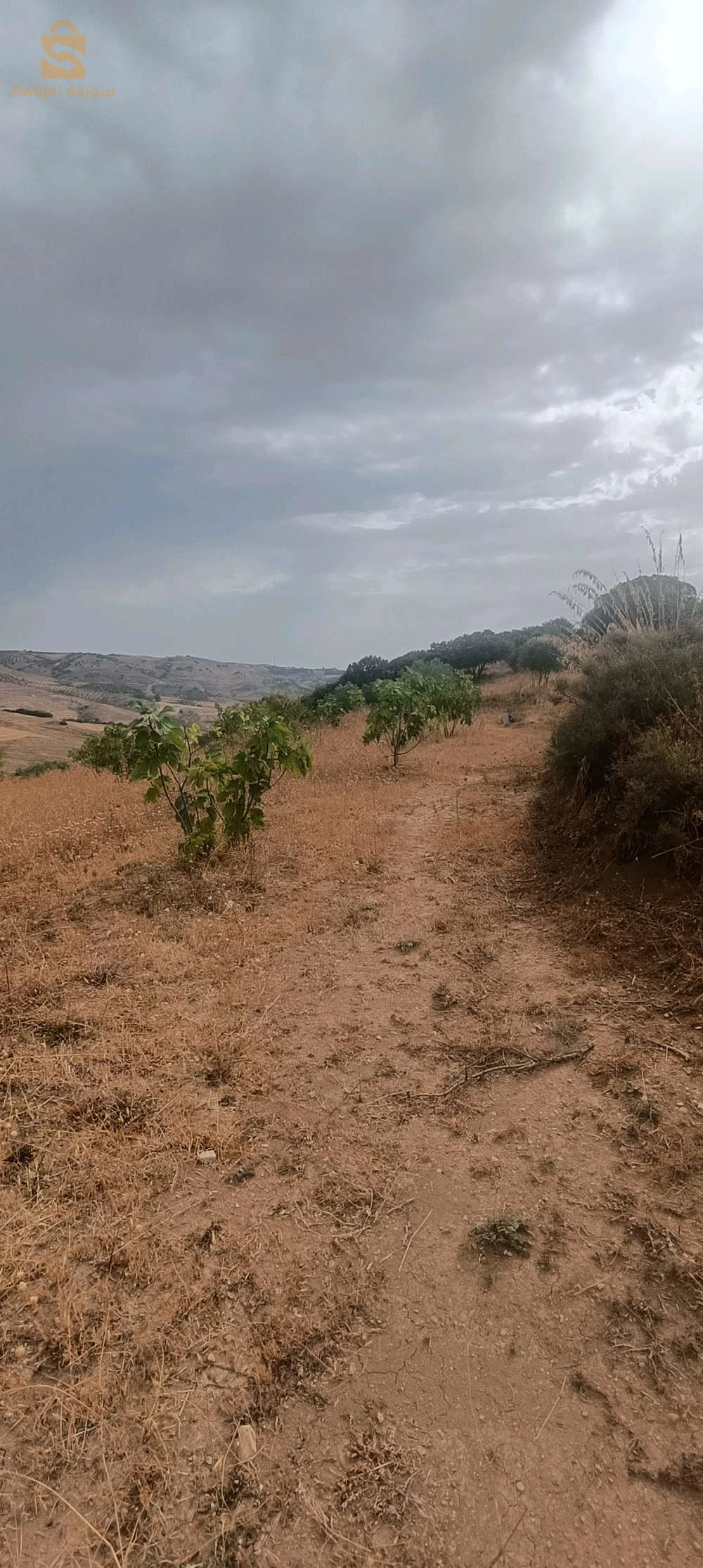 À vendre Autres biens immobiliers les chambres 4 10 BOUIRA