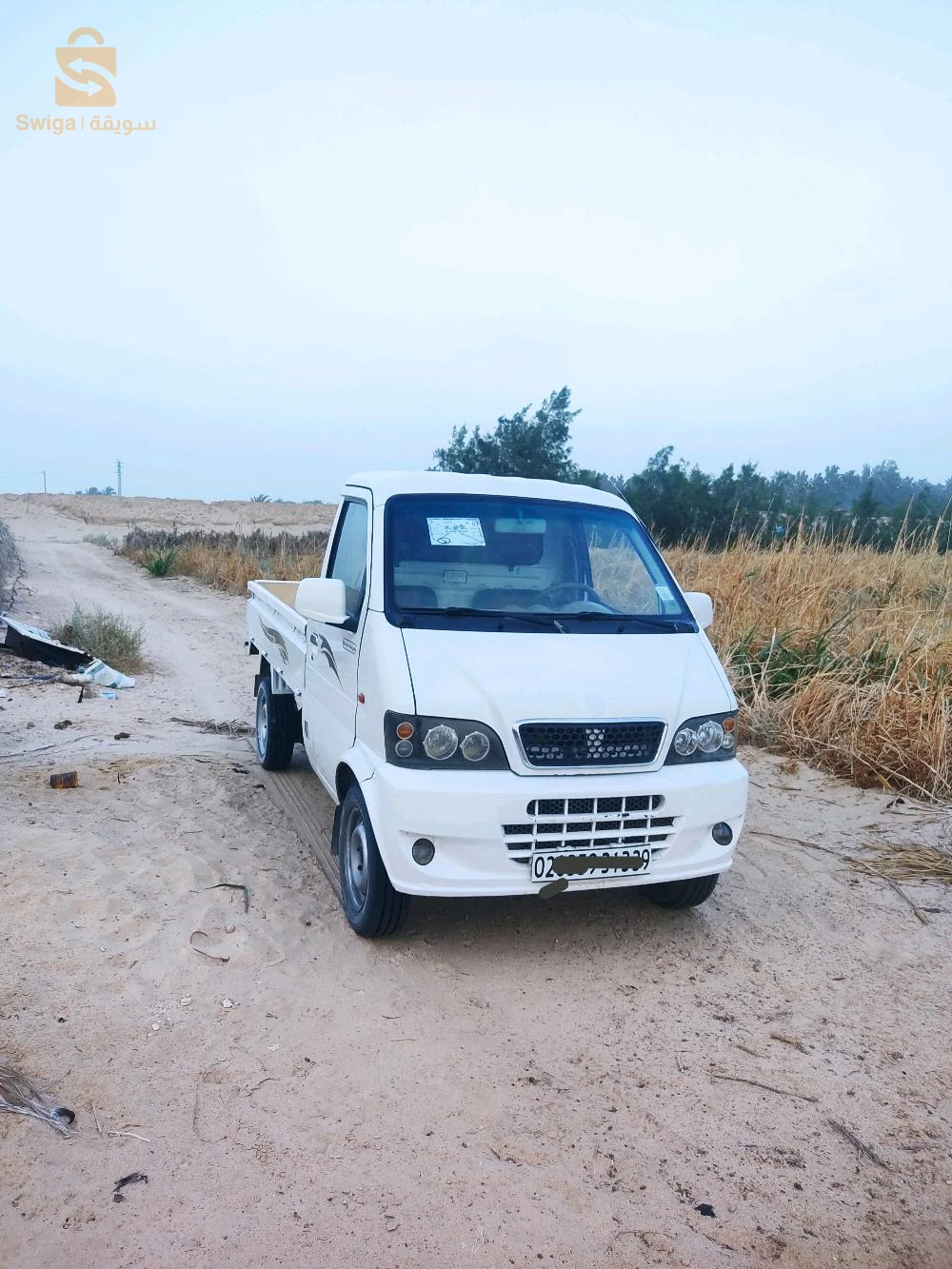 DFSK C 37 2013 39 EL OUED