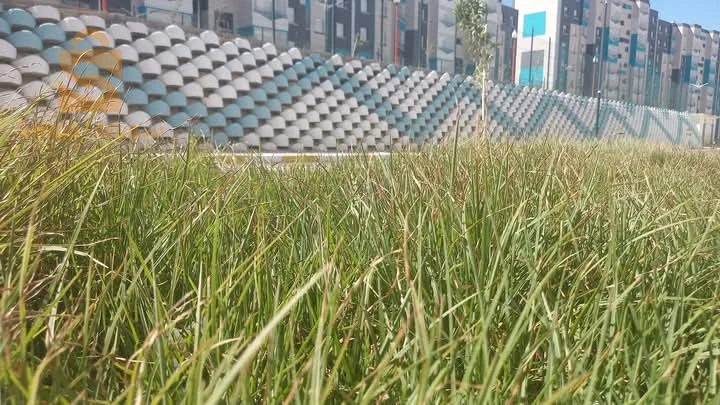 معدات البناء 