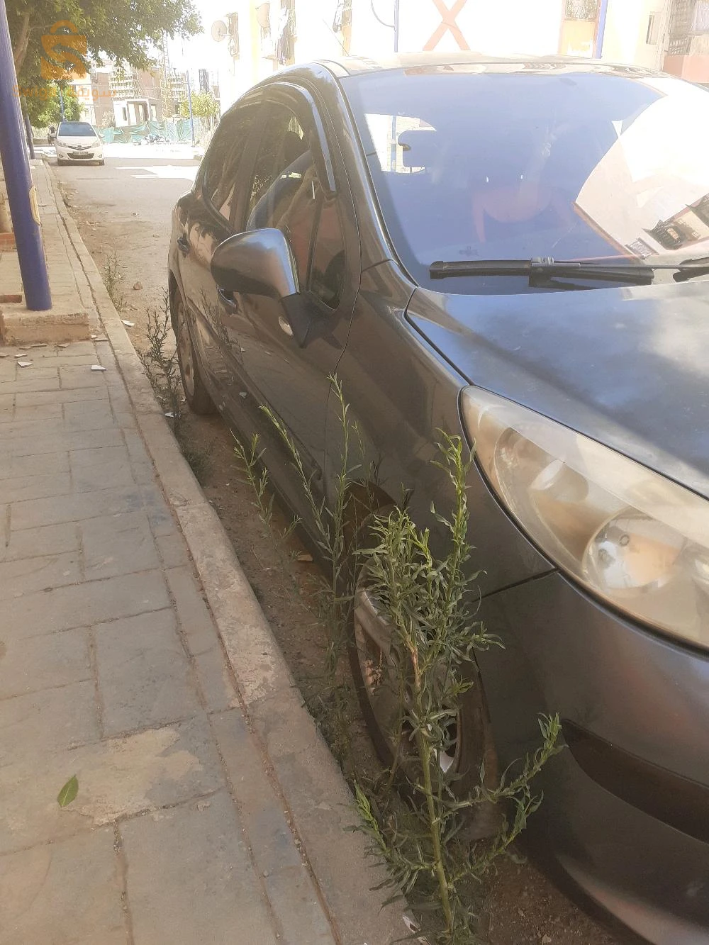 بيجو 207 2007 44 عين الدفلى