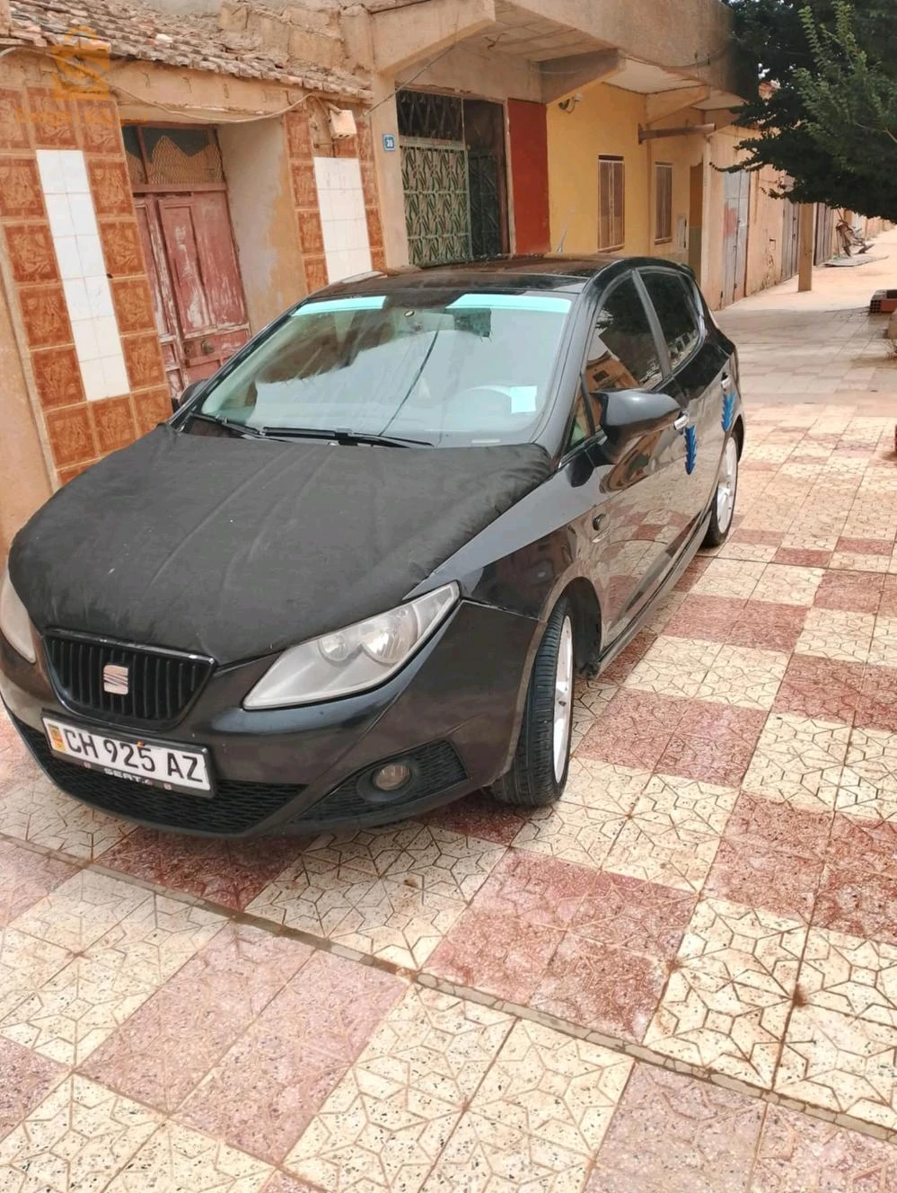 سيات Ibiza 2010 14 تيارت