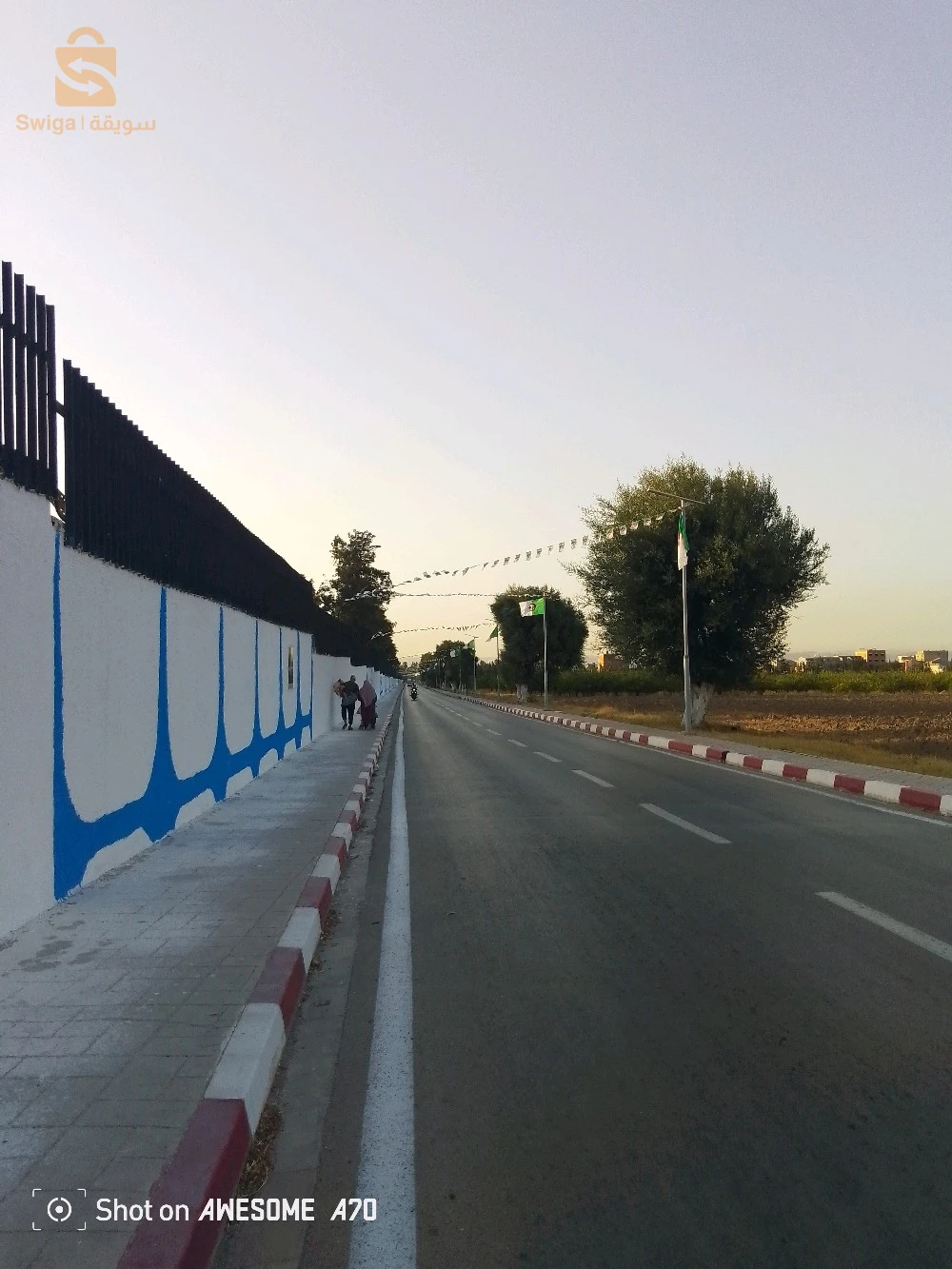للبيع مستودعات عدد الغرف2 9 البليدة