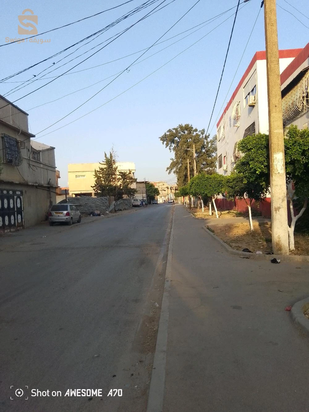 للبيع مستودعات عدد الغرف2 9 البليدة