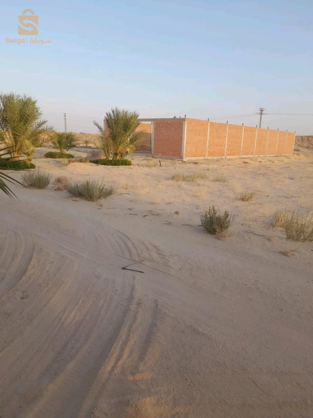 For sale agricultural lands Room Number 39 EL OUED