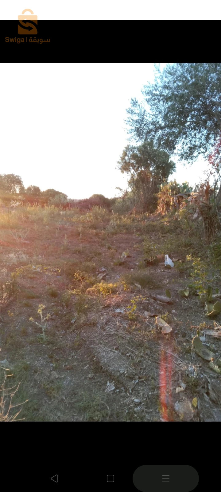 For sale agricultural lands Room Number 35 BOUMERDES