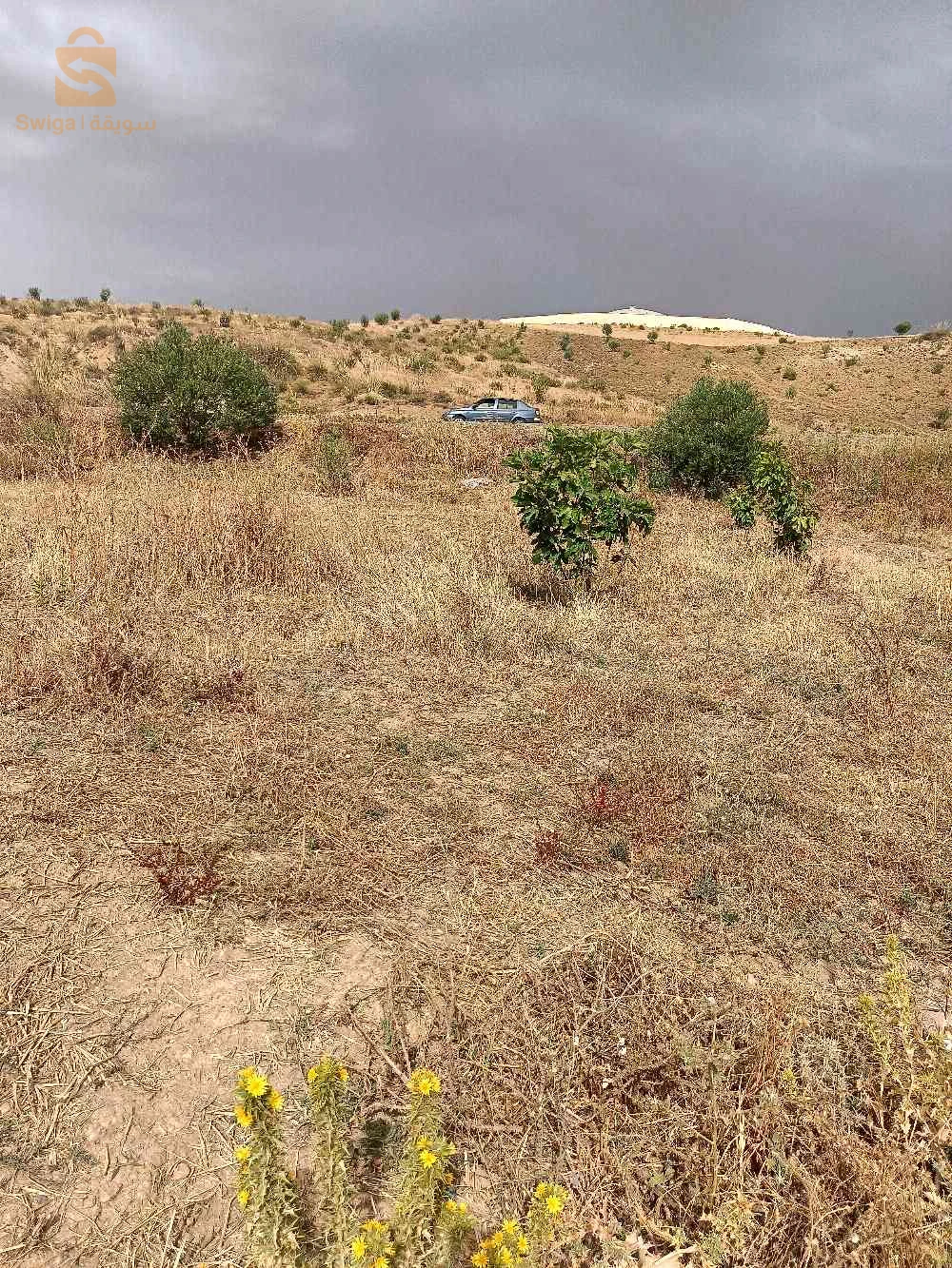 للبيع عقارات اخرى عدد الغرف4 10 البويرة