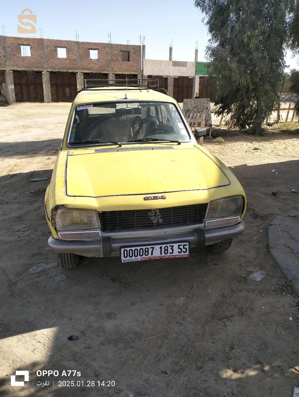 Peugeot 504 1983 55 Touggourt