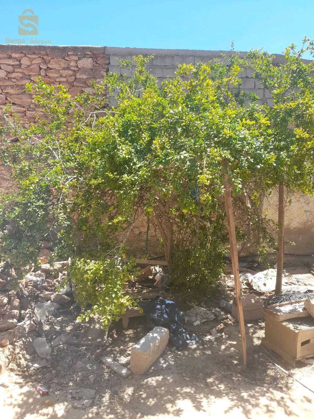 For sale Other real estate Room Number0 46 AIN TEMOUCHENT