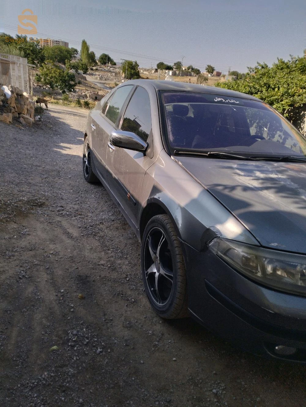 رينو Laguna 2001 19 سطيف