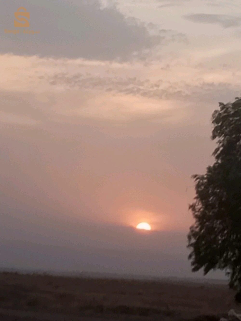 للبيع اراضي زراعية عدد الغرف 5 باتنة