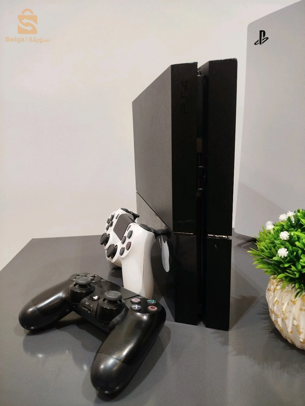 PlayStation devices 