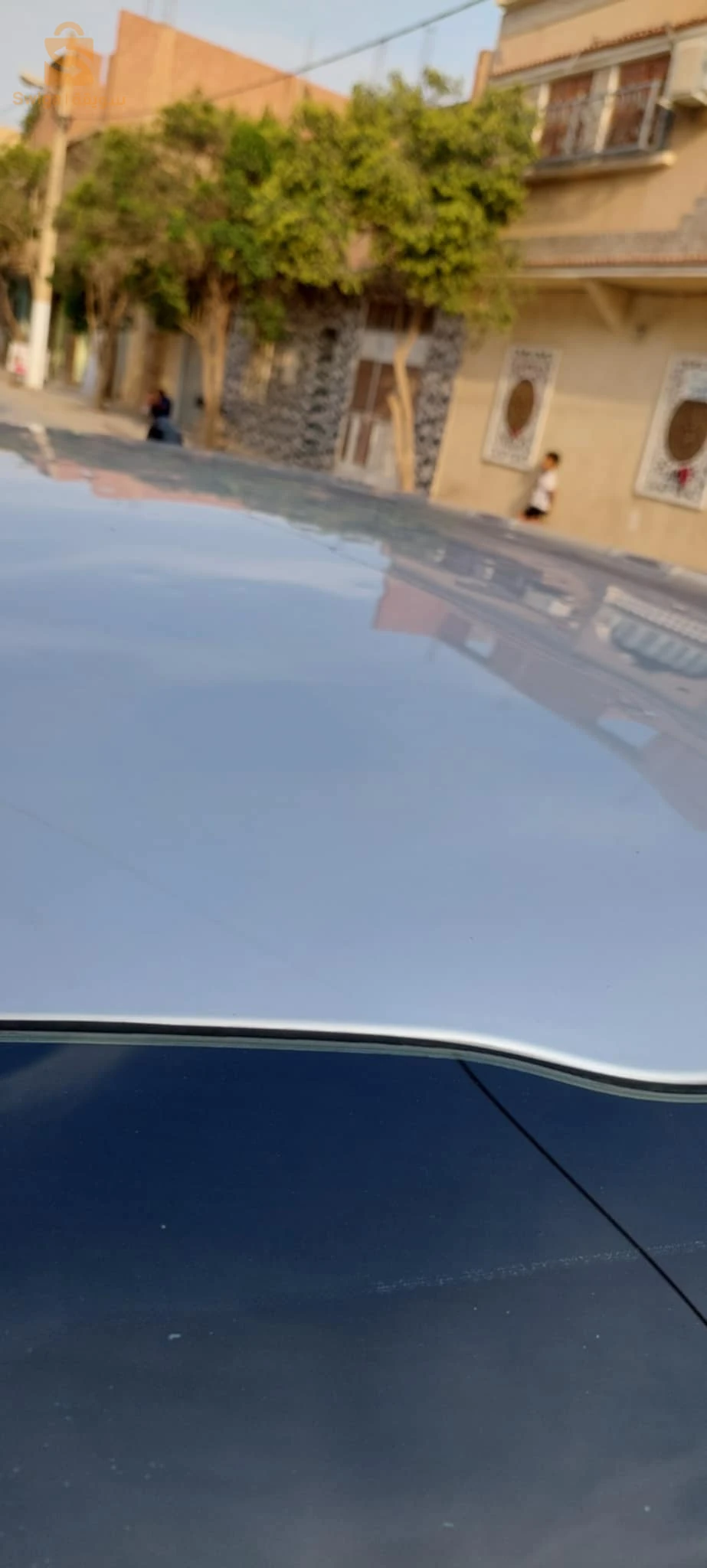 كيا Picanto 2019 5 باتنة