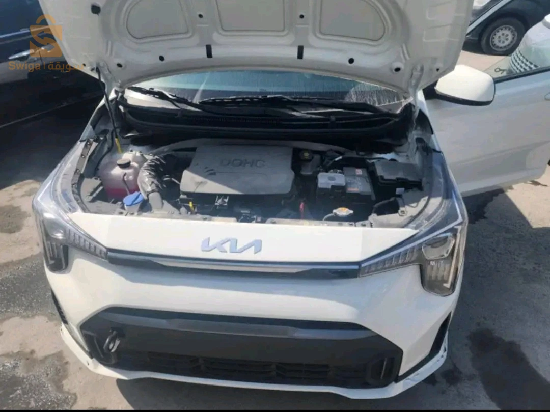 كيا Picanto 2025 32 البيض