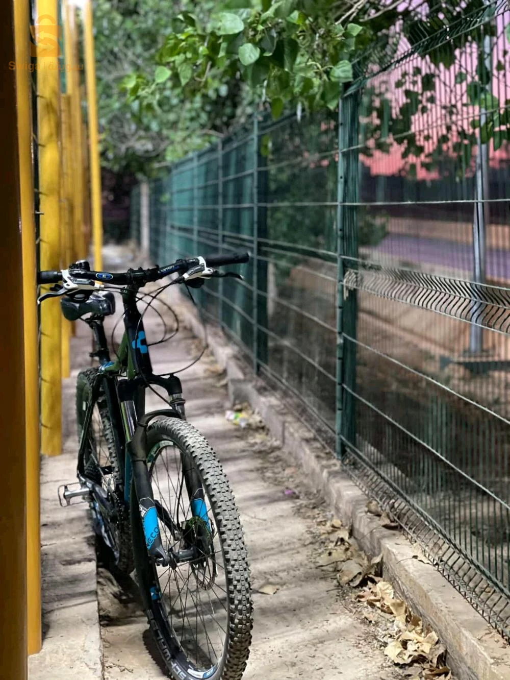 bicycles 
