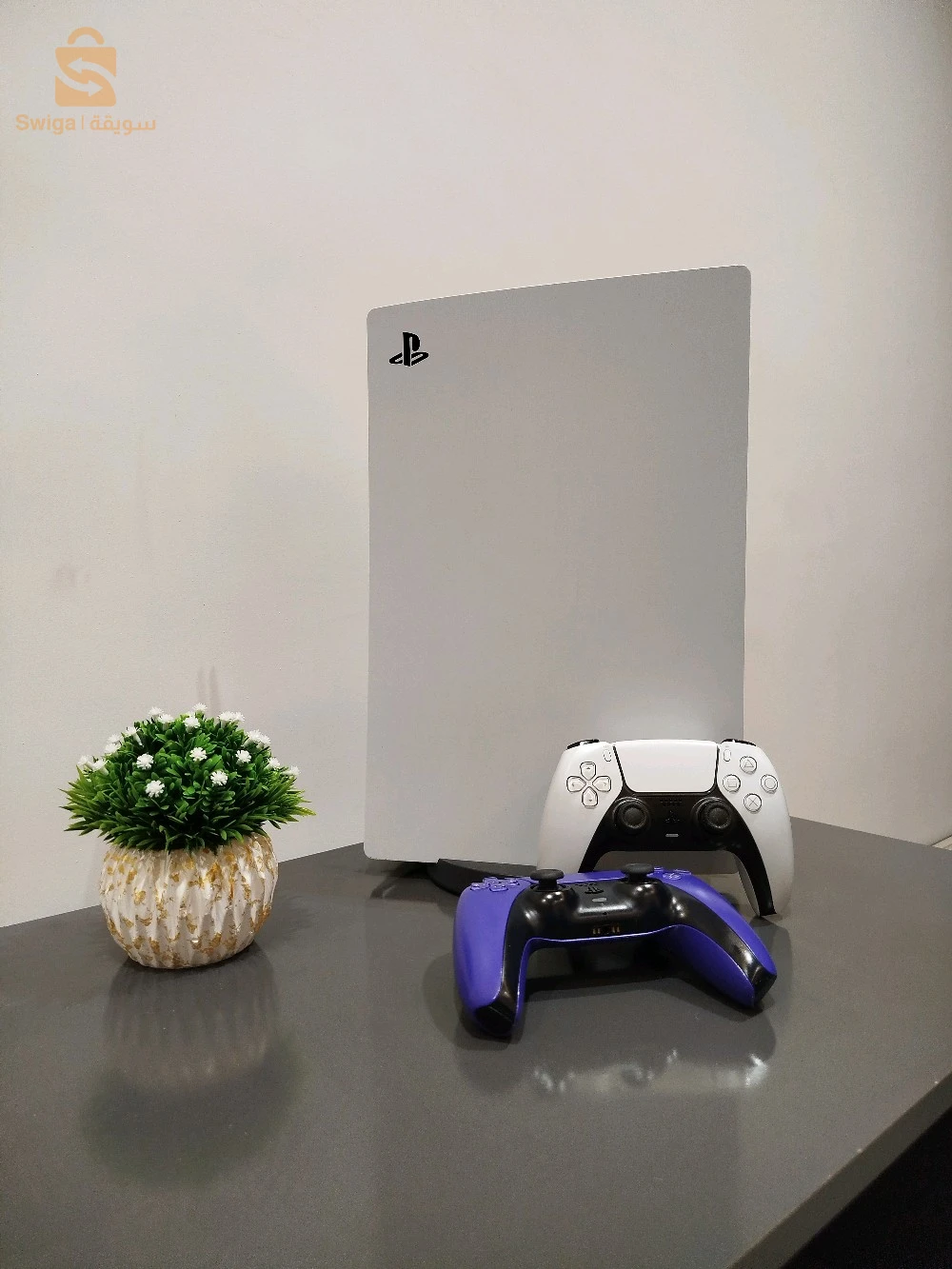 PlayStation devices 