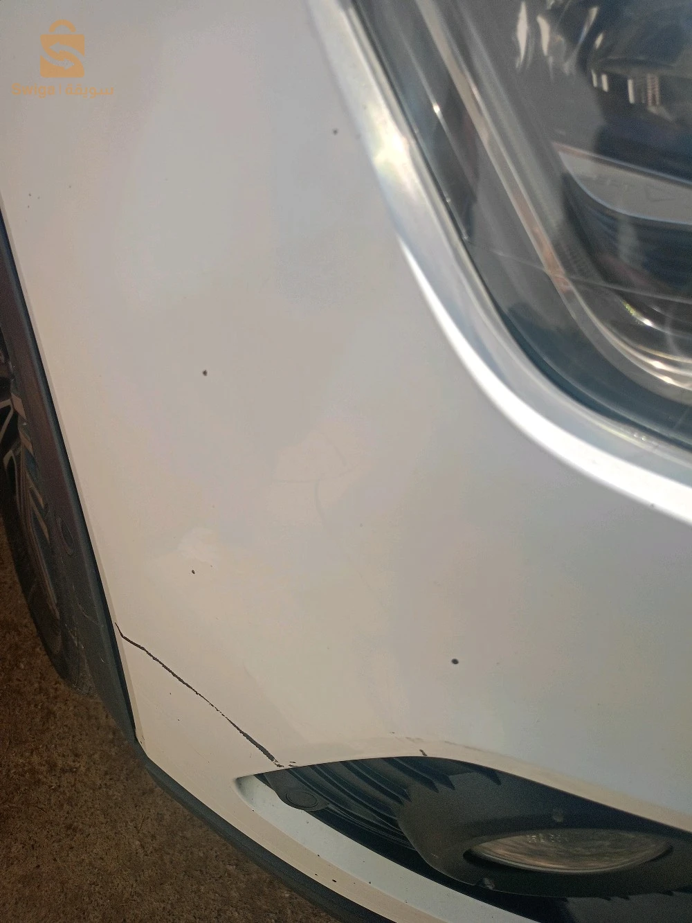 سيات ARONA 2019 18 جيجل