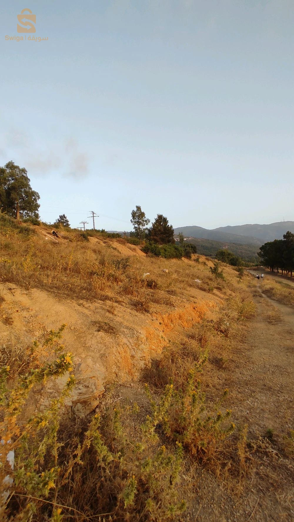 للبيع اراضي سكنية عدد الغرف 9 البليدة