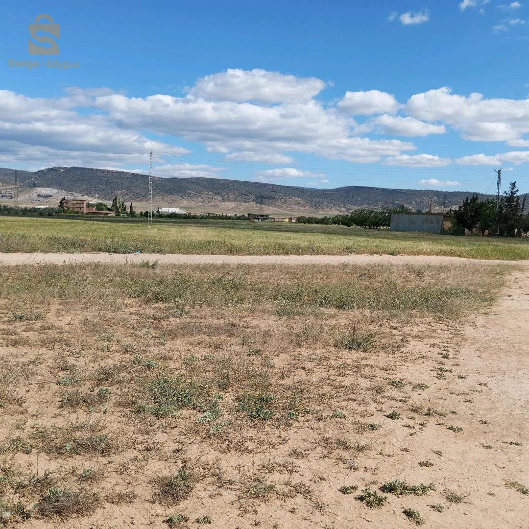 À vendre Les terres agricoles les chambres  5 BATNA