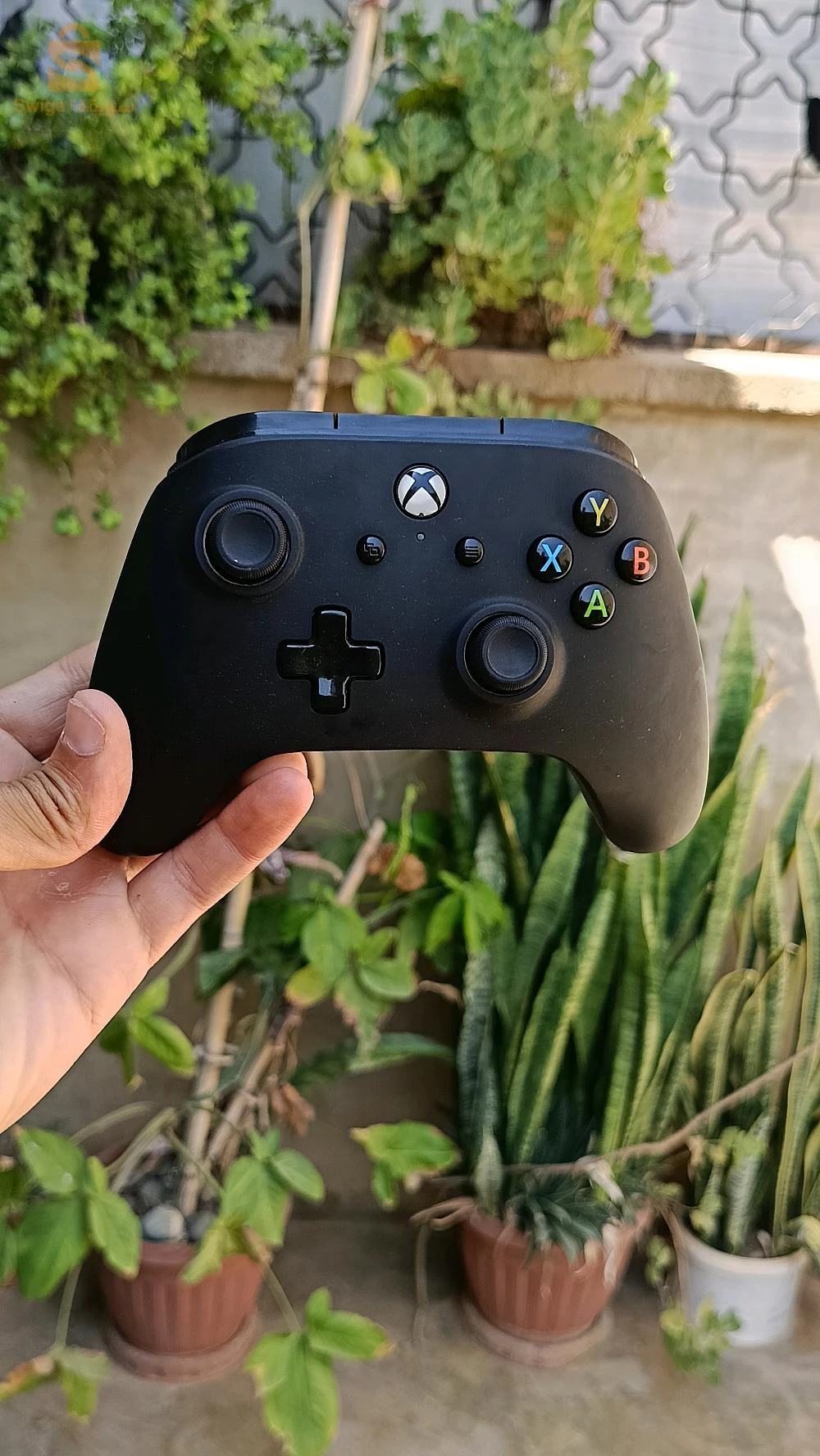 Jeux Xbox 