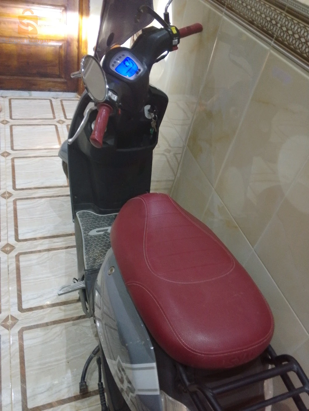 فيسبا 