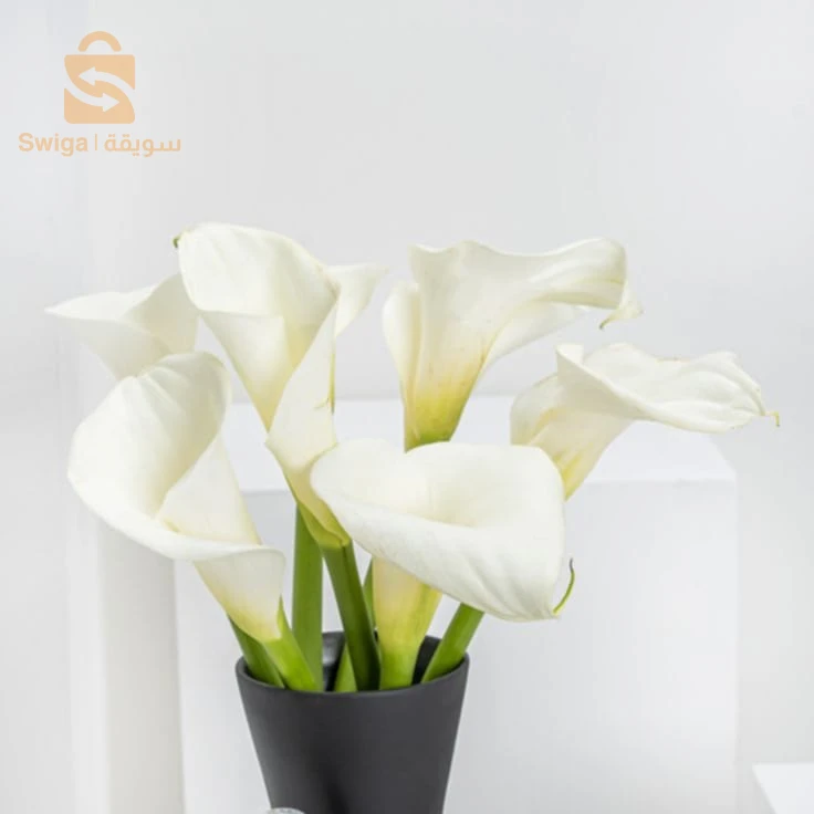 Fleurs 