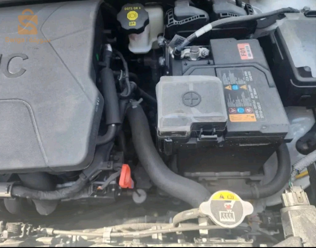 كيا Picanto 2025 32 البيض