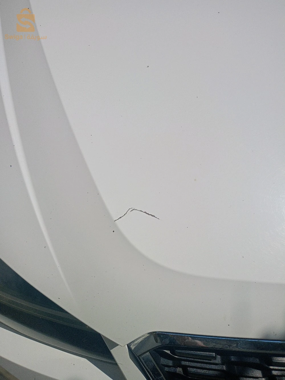 سيات ARONA 2019 18 جيجل