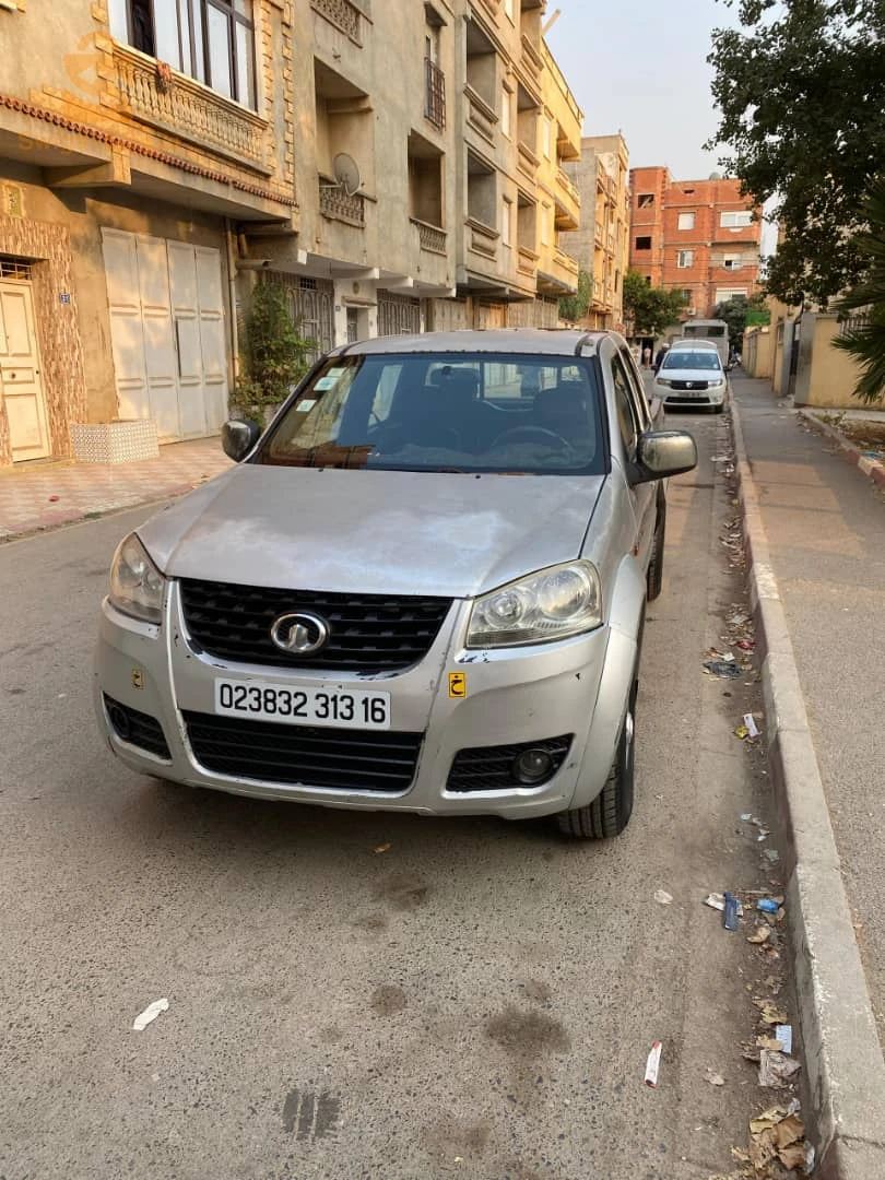 Great Wall 2013 16 ALGER