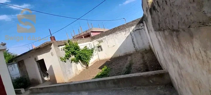 للبيع فلل سكنية عدد الغرف8 36 الطارف