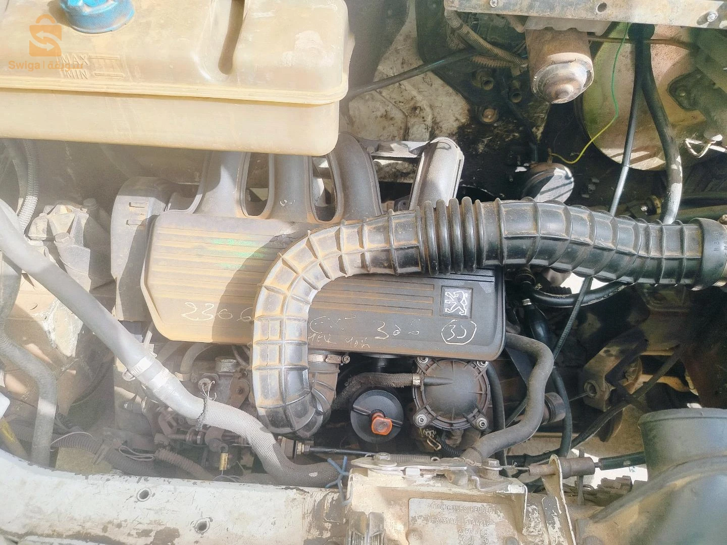 بيجو Boxer 31 وهران