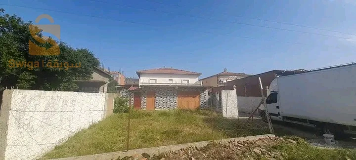 للبيع فلل سكنية عدد الغرف8 36 الطارف