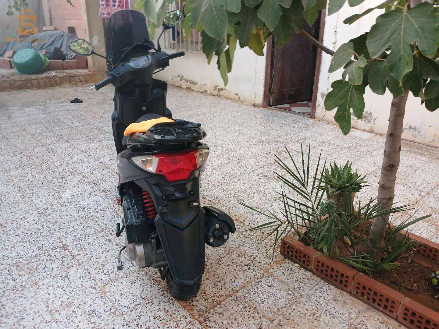 فيسبا 