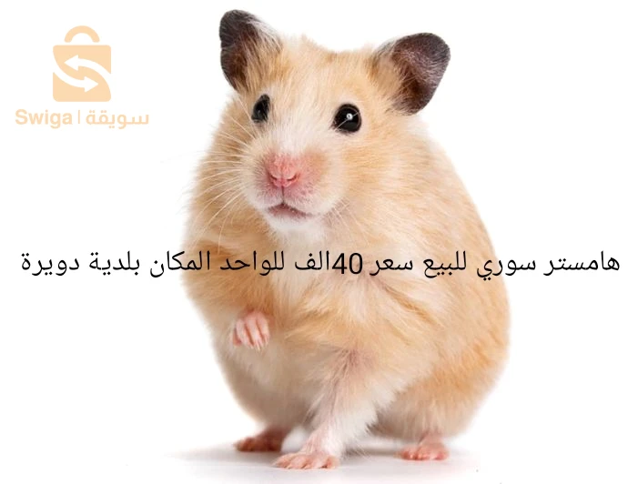 حيوانات اخرى ماعدا الطيور 