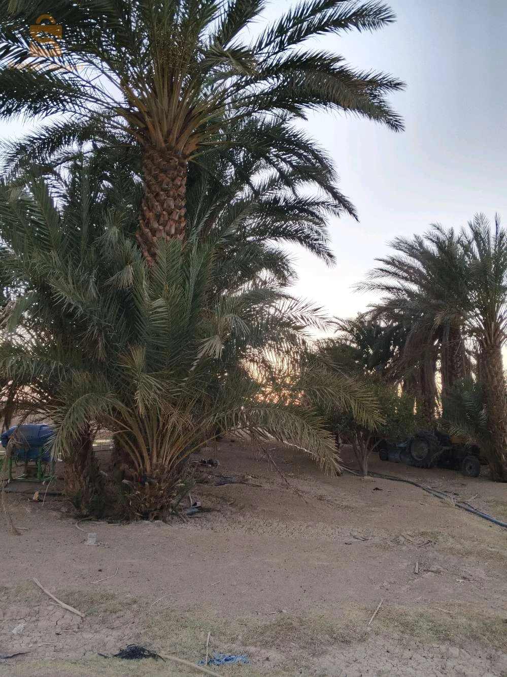 للبيع اراضي زراعية عدد الغرف 7 بسكرة