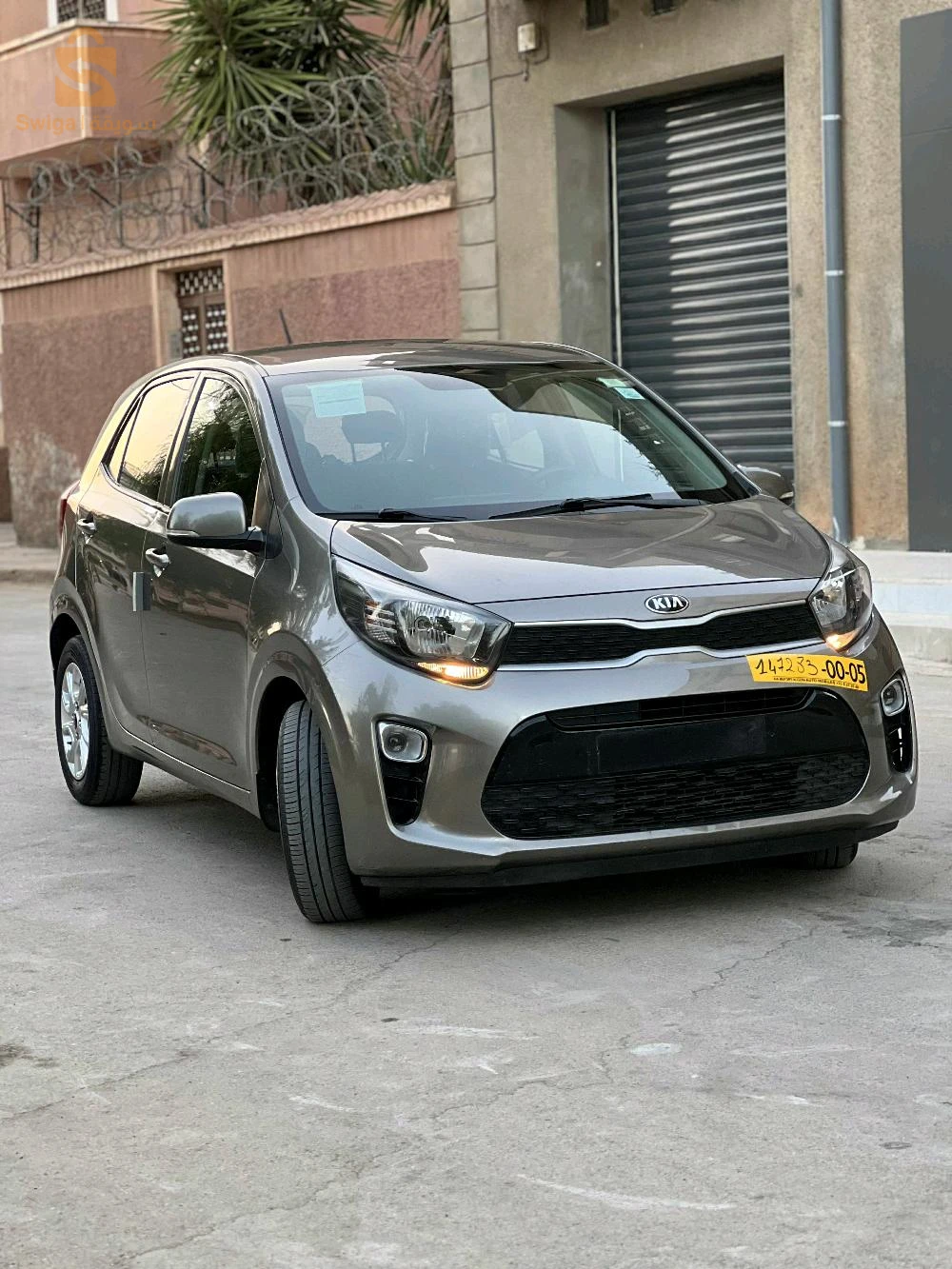 كيا Picanto 2019 13 تلمسان