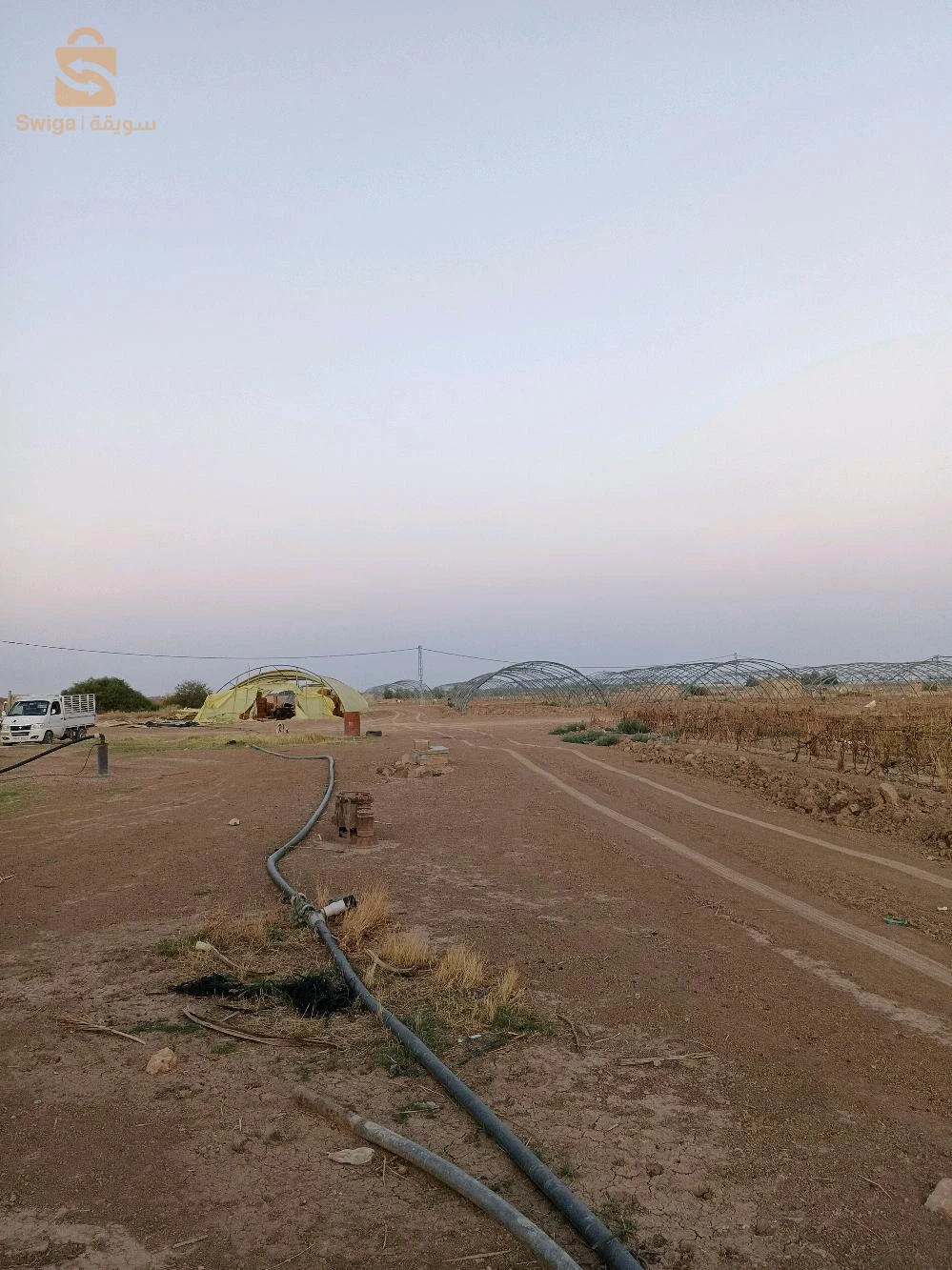 À vendre Les terres agricoles les chambres  7 BISKRA