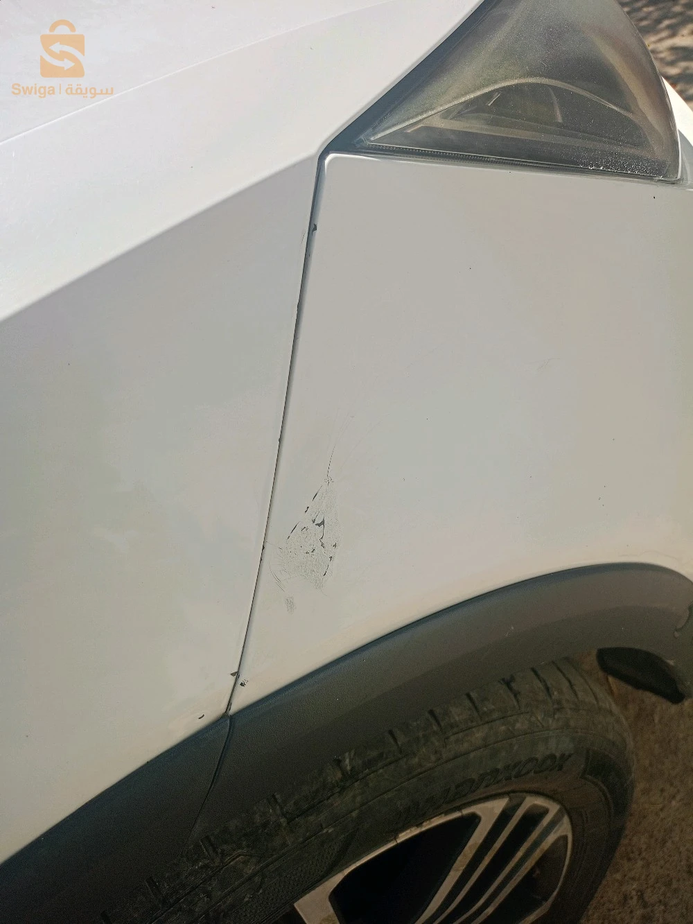 سيات ARONA 2019 18 جيجل