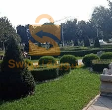 أخرى 