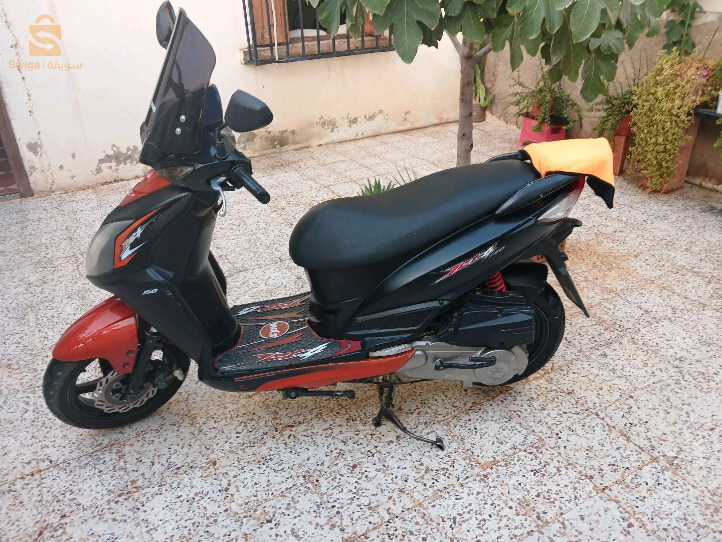 فيسبا 
