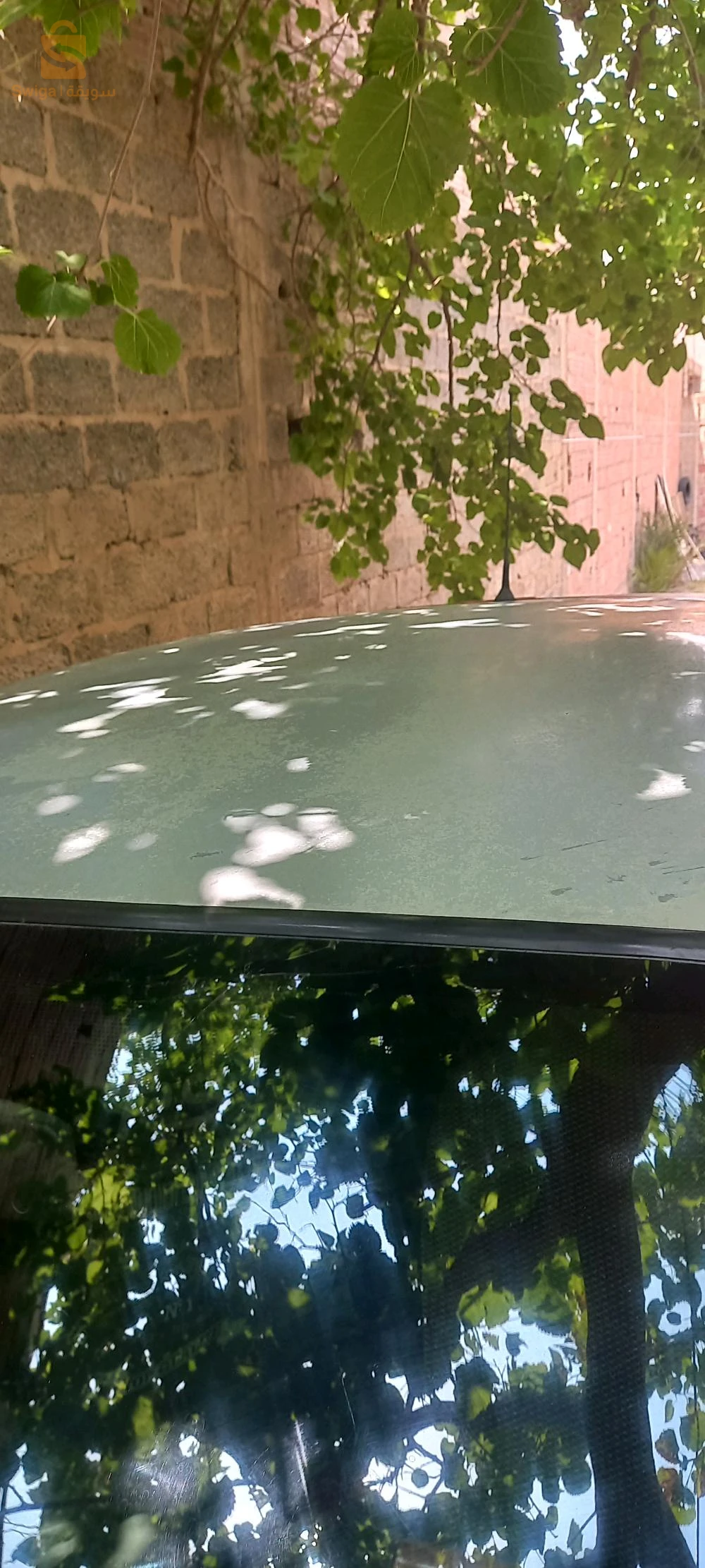 رينو campus 2006 7 بسكرة