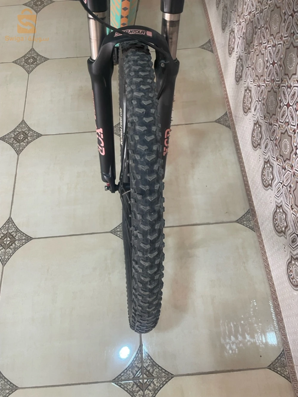 vélos électriques 