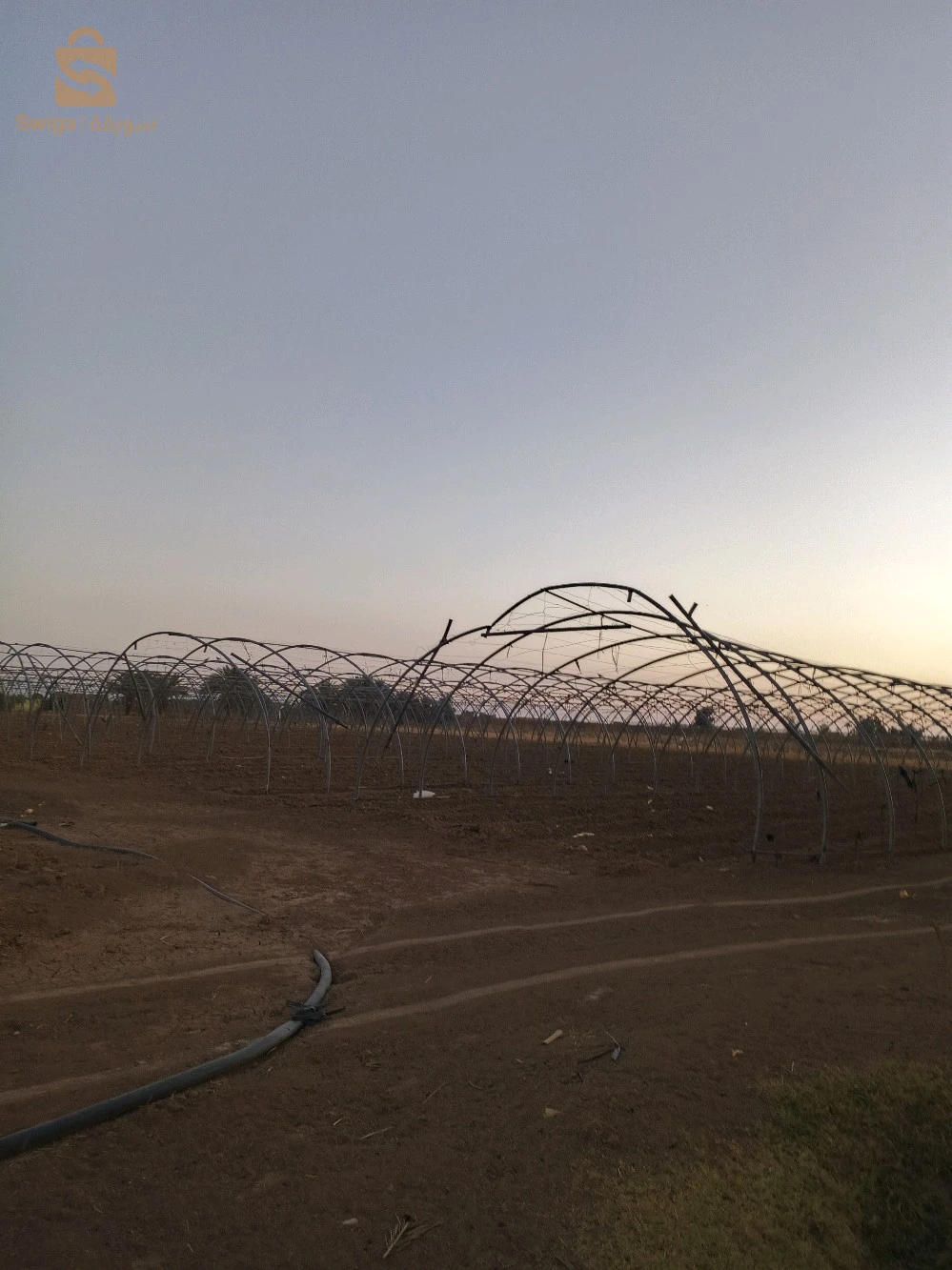 للبيع اراضي زراعية عدد الغرف 7 بسكرة