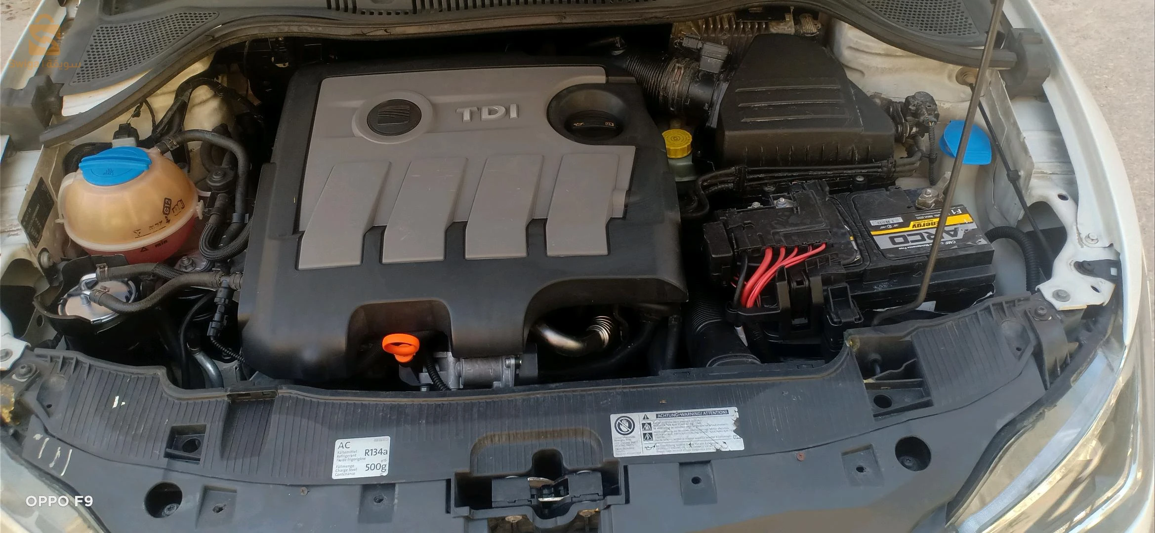 سيات Ibiza 2012 7 بسكرة