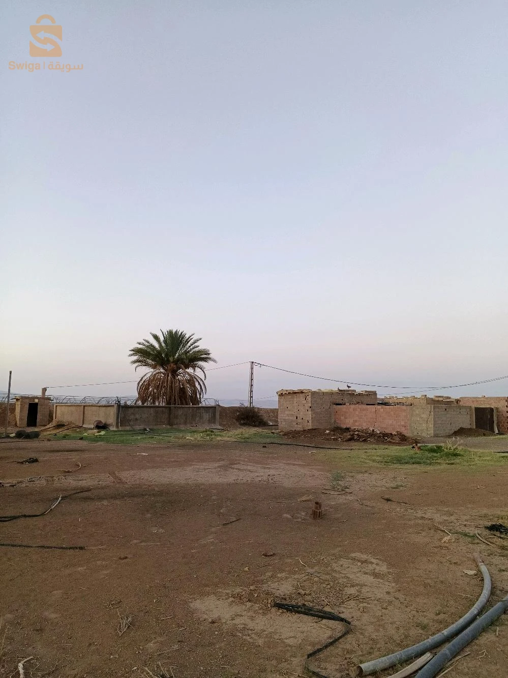 For sale agricultural lands Room Number 7 BISKRA