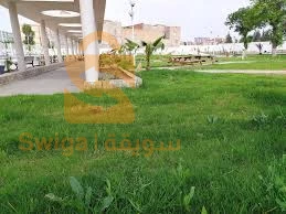 أخرى 