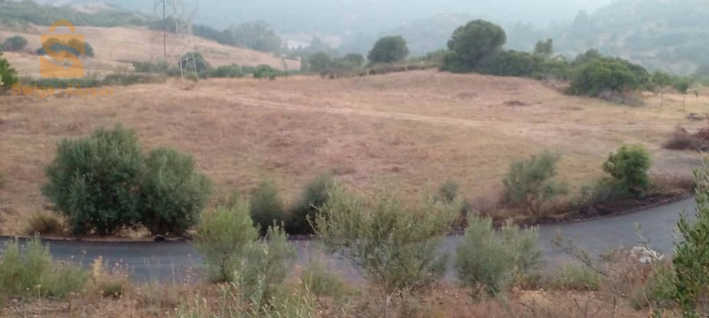 للبيع اراضي سكنية عدد الغرف 35 بومرداس