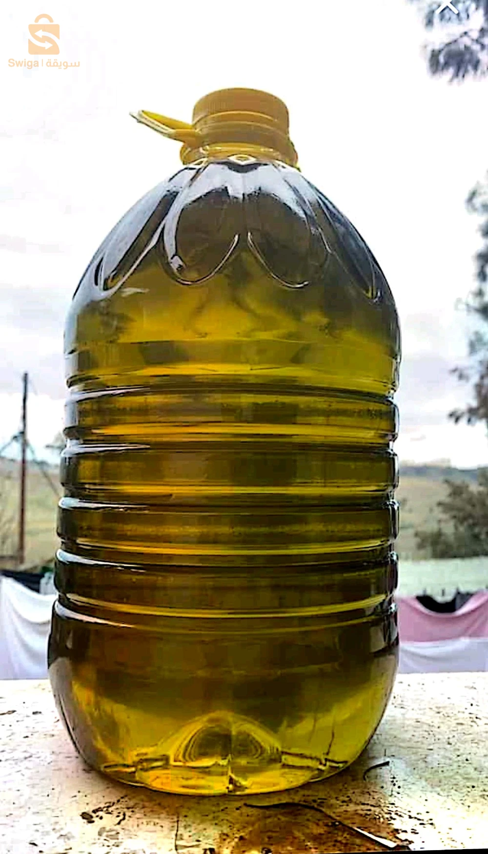 طبخ وحلويات اخرى
