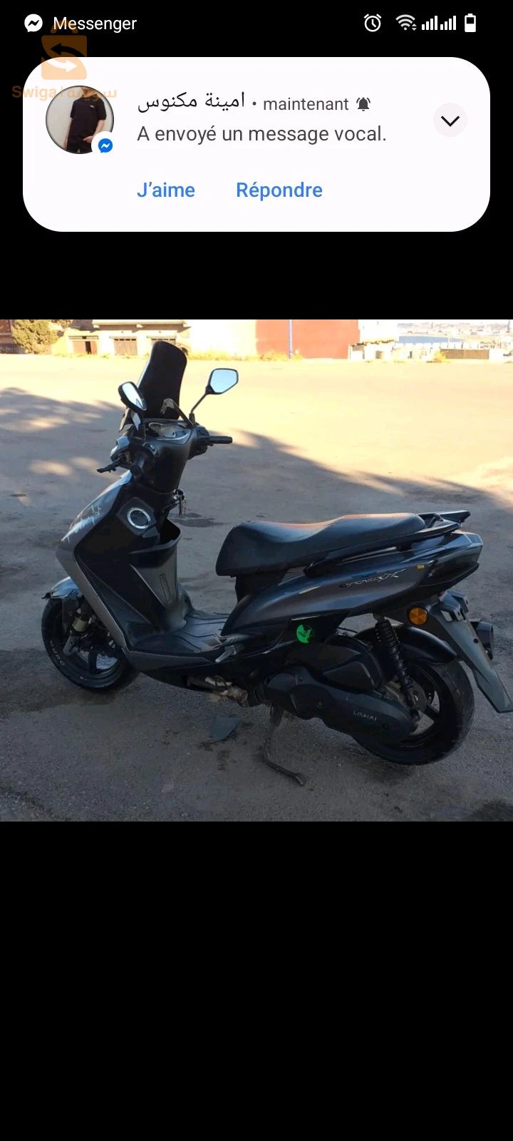فيسبا 